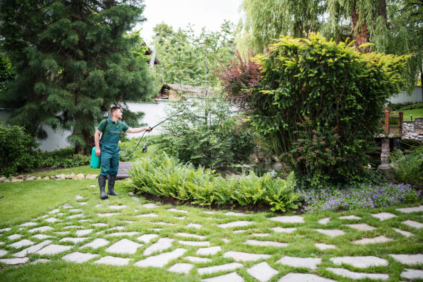 Best Pest Control Near Me  in Janesville, MN