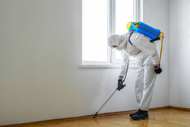 Best Cockroach Control Services  in Janesville, MN