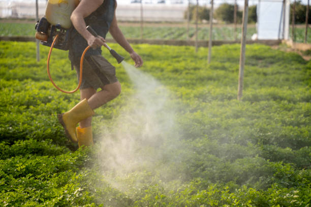 Best Wasp Removal Services  in Janesville, MN