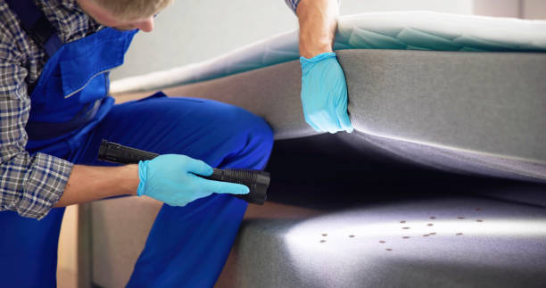 Best Bed Bug Extermination  in Janesville, MN